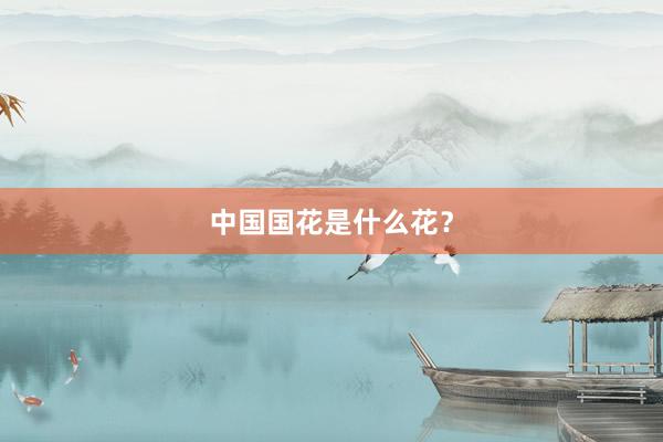 中国国花是什么花？
