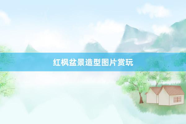 红枫盆景造型图片赏玩